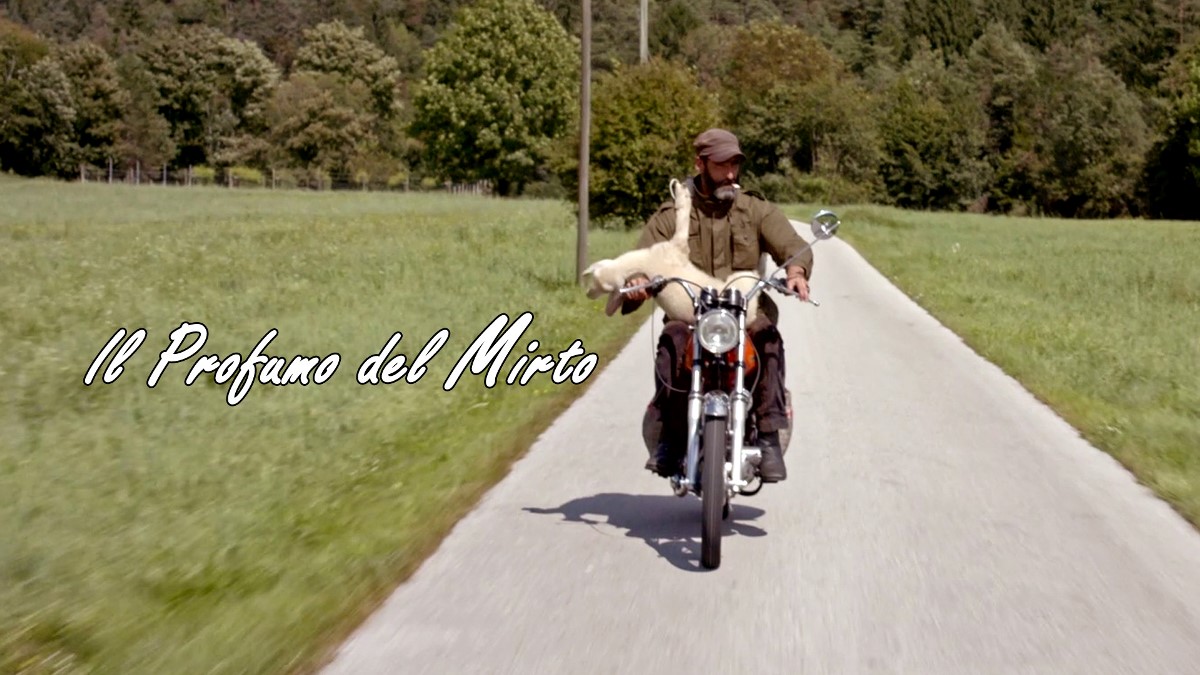 Il Profumo del Mirto