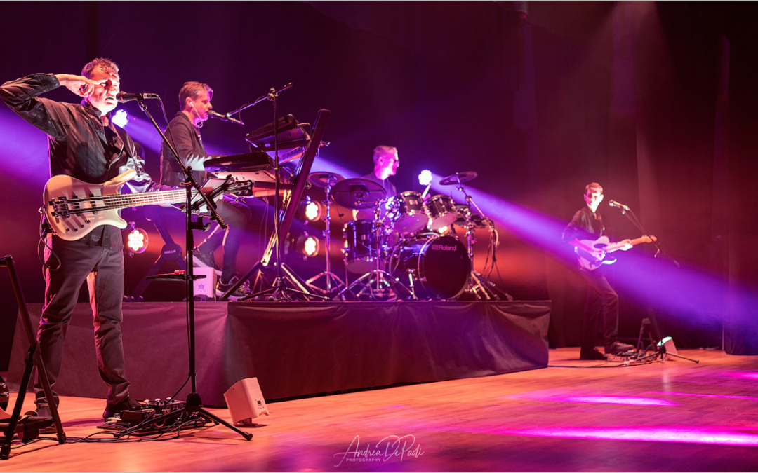 UP! The Real World of Peter Gabriel