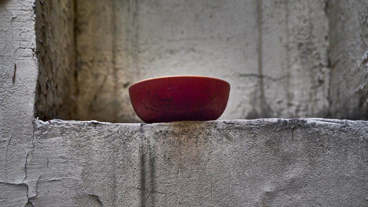 Alessandro Serra / I TURCS TAL FRIÙL